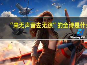 “来无声音去无踪”的全诗是什么