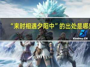 “来时相遇夕阳中”的出处是哪里