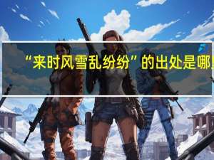 “来时风雪乱纷纷”的出处是哪里