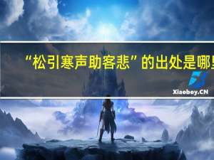 “松引寒声助客悲”的出处是哪里