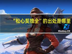 “松心契独全”的出处是哪里