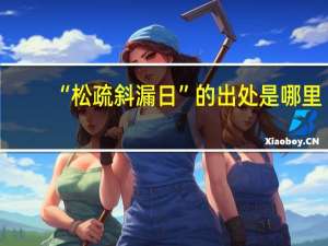 “松疏斜漏日”的出处是哪里