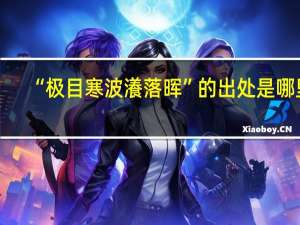 “极目寒波瀁落晖”的出处是哪里