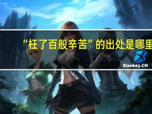 “枉了百般辛苦”的出处是哪里