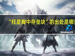 “枉是胸中存垒块”的出处是哪里