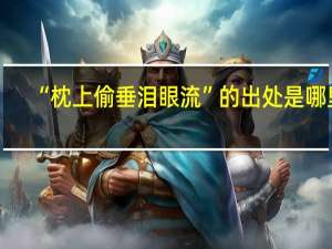 “枕上偷垂泪眼流”的出处是哪里