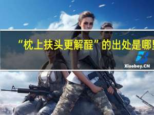 “枕上扶头更解酲”的出处是哪里