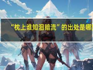 “枕上谁知泪暗流”的出处是哪里