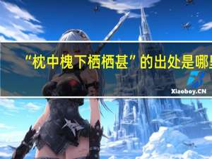 “枕中槐下栖栖甚”的出处是哪里