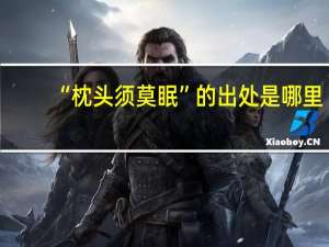 “枕头须莫眠”的出处是哪里