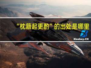 “枕籍起更酌”的出处是哪里
