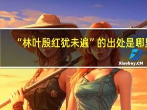 “林叶殷红犹未遍”的出处是哪里