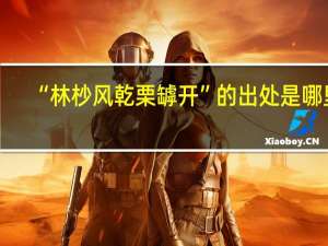 “林杪风乾栗罅开”的出处是哪里