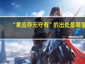 “果应存无守有”的出处是哪里