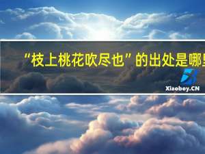 “枝上桃花吹尽也”的出处是哪里