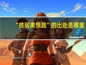 “枝弱禽惊践”的出处是哪里