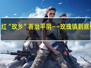 “枫”红“玫乡” 善治平阴——玫瑰镇 到底什么情况嘞