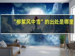 “柳絮风中雪”的出处是哪里