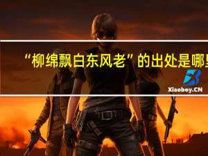 “柳绵飘白东风老”的出处是哪里