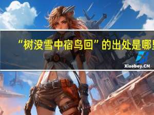 “树没雪中宿鸟回”的出处是哪里