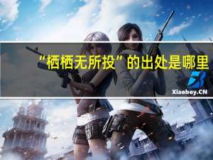 “栖栖无所投”的出处是哪里