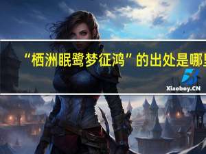 “栖洲眠鹭梦征鸿”的出处是哪里