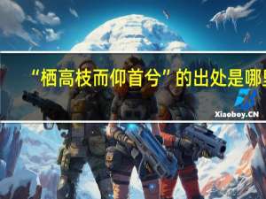 “栖高枝而仰首兮”的出处是哪里