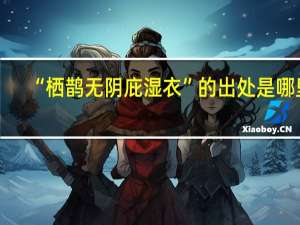 “栖鹊无阴庇湿衣”的出处是哪里