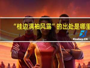 “桂边满袖风露”的出处是哪里