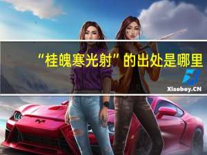 “桂魄寒光射”的出处是哪里