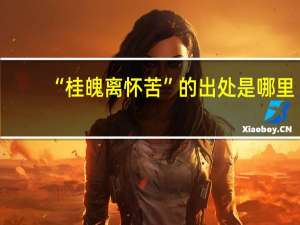 “桂魄离怀苦”的出处是哪里