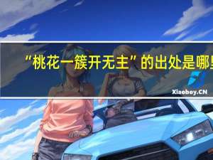 “桃花一簇开无主”的出处是哪里