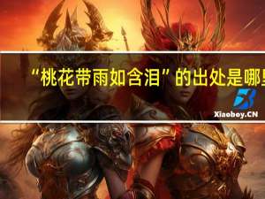 “桃花带雨如含泪”的出处是哪里