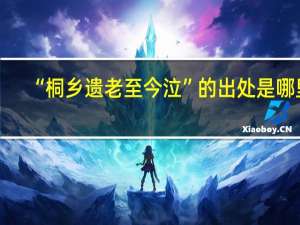 “桐乡遗老至今泣”的出处是哪里