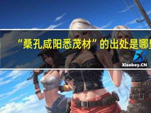 “桑孔咸阳悉茂材”的出处是哪里