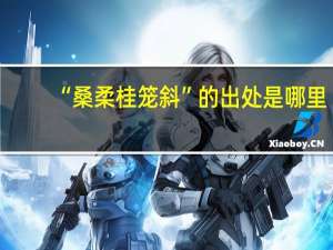 “桑柔桂笼斜”的出处是哪里