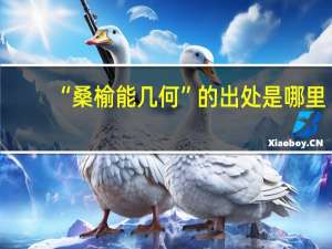 “桑榆能几何”的出处是哪里