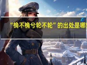 “桷不桷兮轮不轮”的出处是哪里