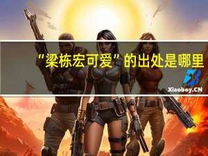 “梁栋宏可爱”的出处是哪里