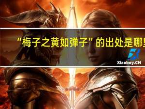 “梅子之黄如弹子”的出处是哪里