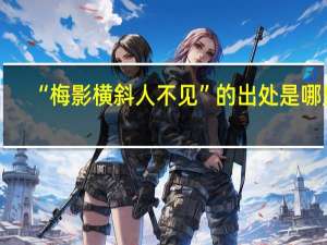 “梅影横斜人不见”的出处是哪里