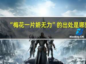 “梅花一片娇无力”的出处是哪里