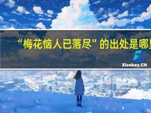 “梅花恼人已落尽”的出处是哪里