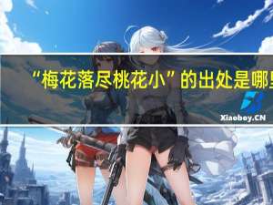 “梅花落尽桃花小”的出处是哪里