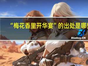 “梅花香里开华宴”的出处是哪里