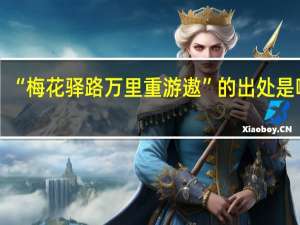 “梅花驿路万里重游遨”的出处是哪里