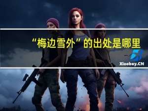 “梅边雪外”的出处是哪里