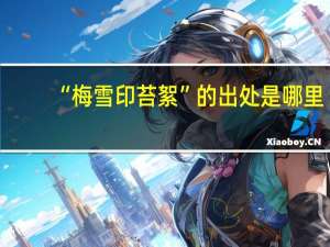“梅雪印苔絮”的出处是哪里