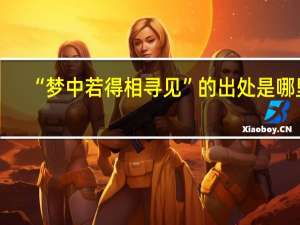 “梦中若得相寻见”的出处是哪里