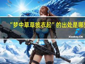 “梦中草草披衣起”的出处是哪里
